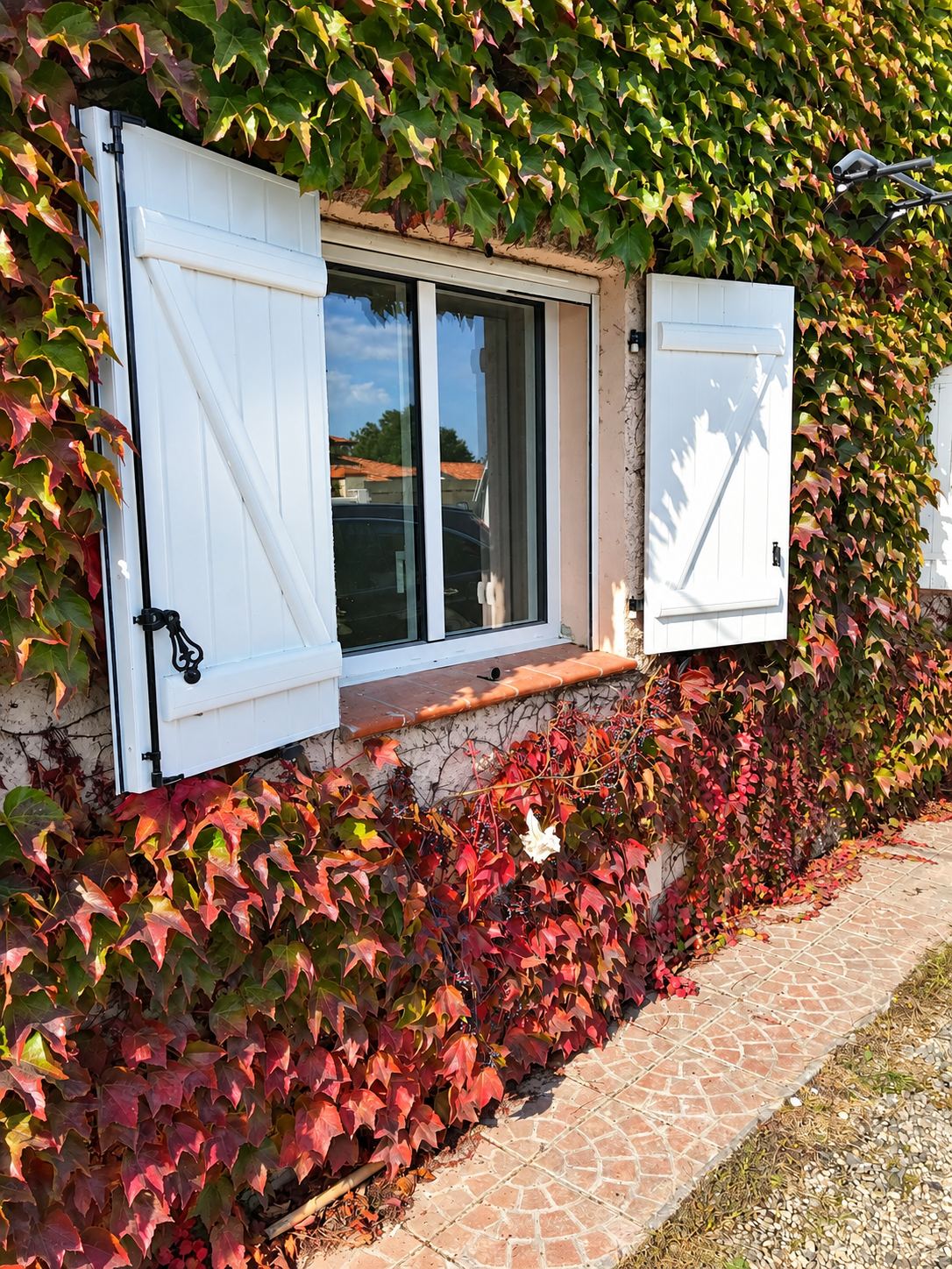 Une fenêtre aux volets blancs ouverts sur une façade recouverte de vigne vierge aux feuilles rouges et vertes, avec un trottoir pavé au premier plan.